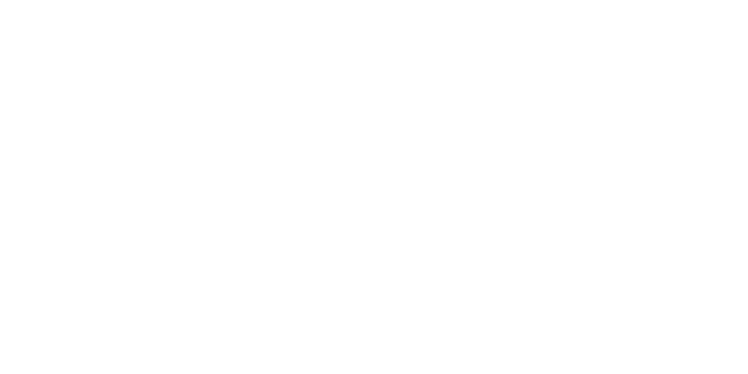 SAVA - Smart Access to Valuable Academics - light logo